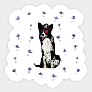 Collie Pirate Sticker